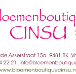 03 Cinsu